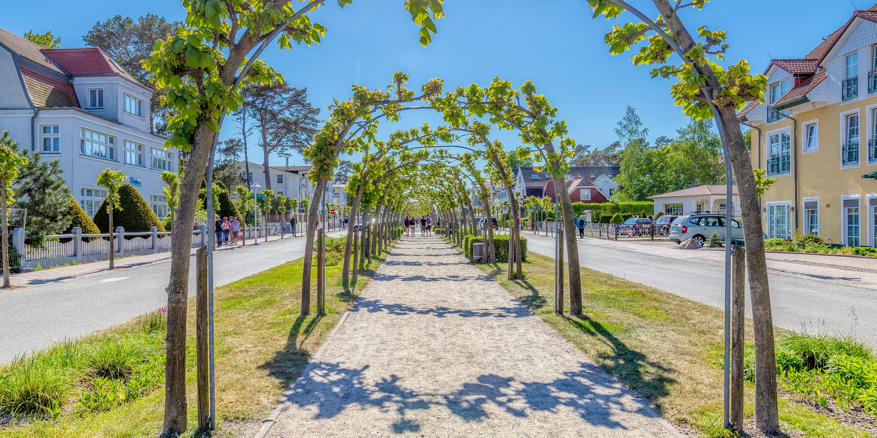 Gepflegte Allee mit Fußweg zwischen zwei Straßen in Baabe